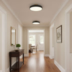 Isla Ceiling Light Fixture Lighting Lobby