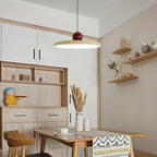 Lola Ceiling Pendant Light Lighting Lobby