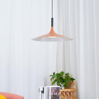 Metal Suspension Ceiling Lamp Lighting Lobby