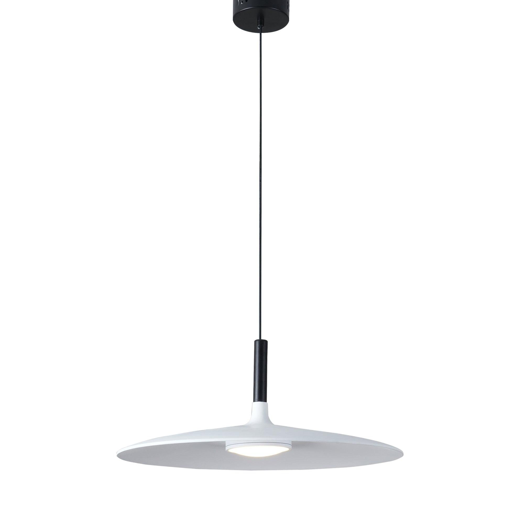 Metal Suspension Ceiling Lamp Lighting Lobby