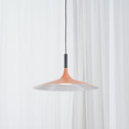 Metal Suspension Ceiling Lamp Lighting Lobby