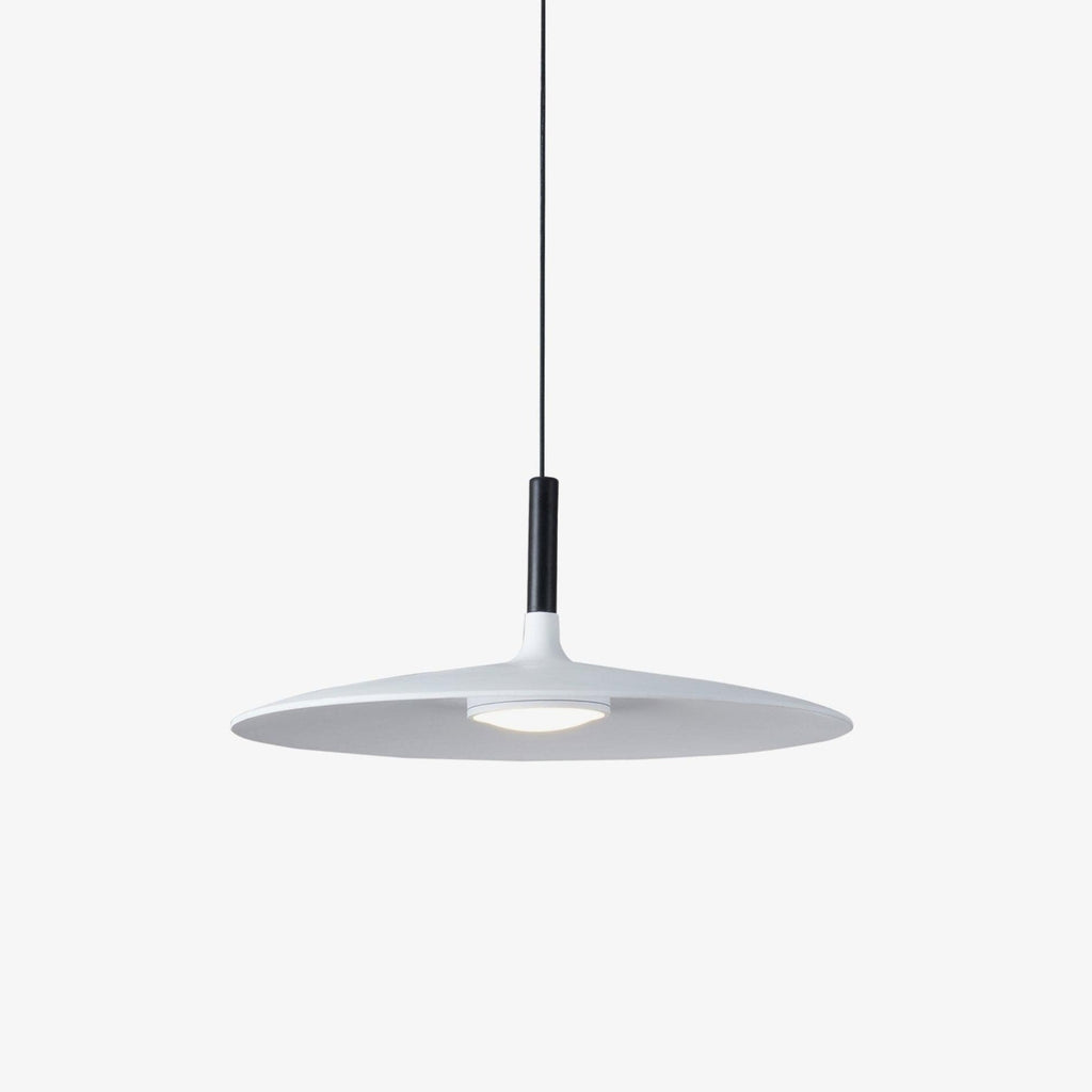 Metal Suspension Ceiling Lamp Lighting Lobby
