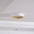 Minimalist Wood Ceiling Lamp Lighting Lobby