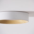 Minimalist Wood Ceiling Lamp Lighting Lobby