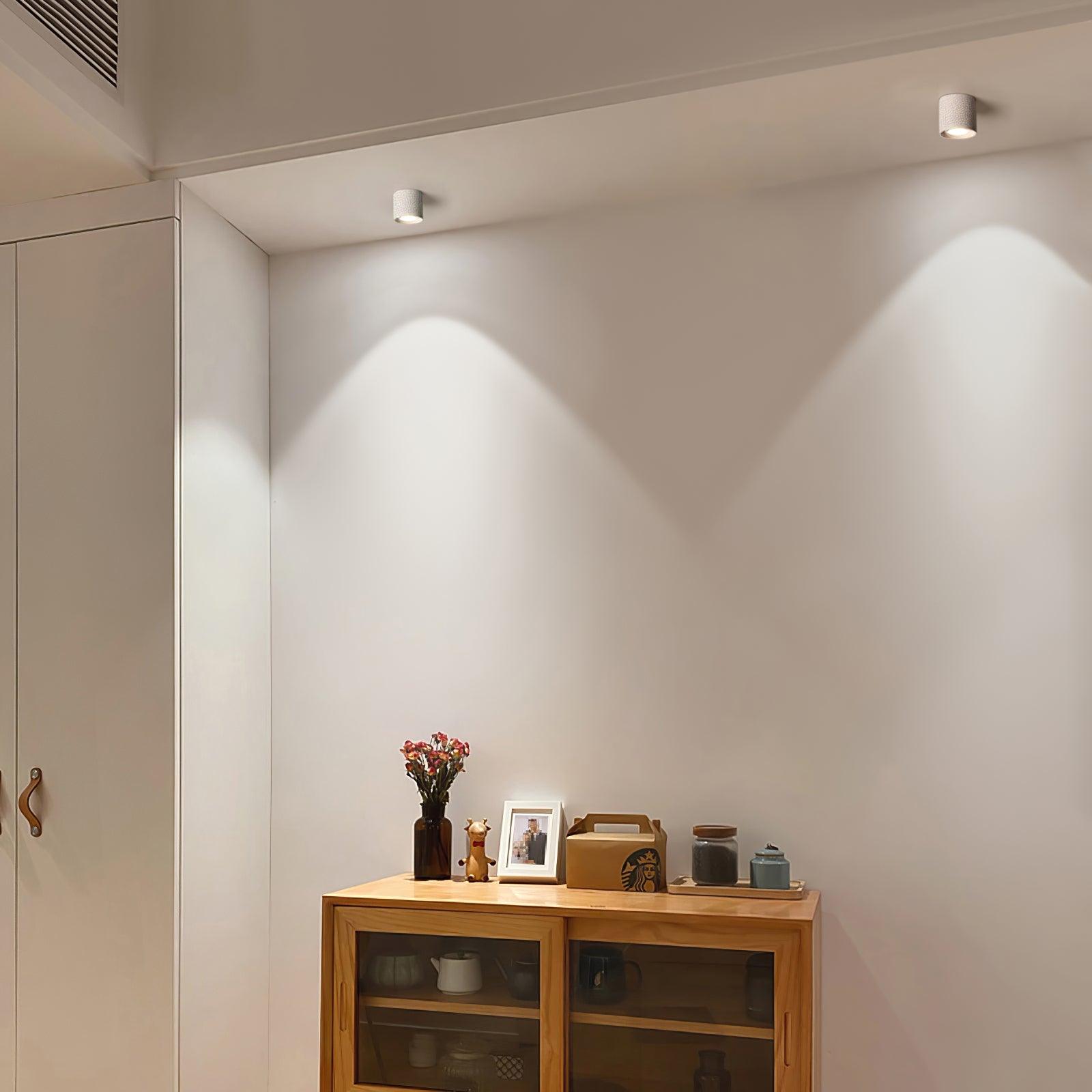 Modupoint Ceiling Fixture Lighting Lobby