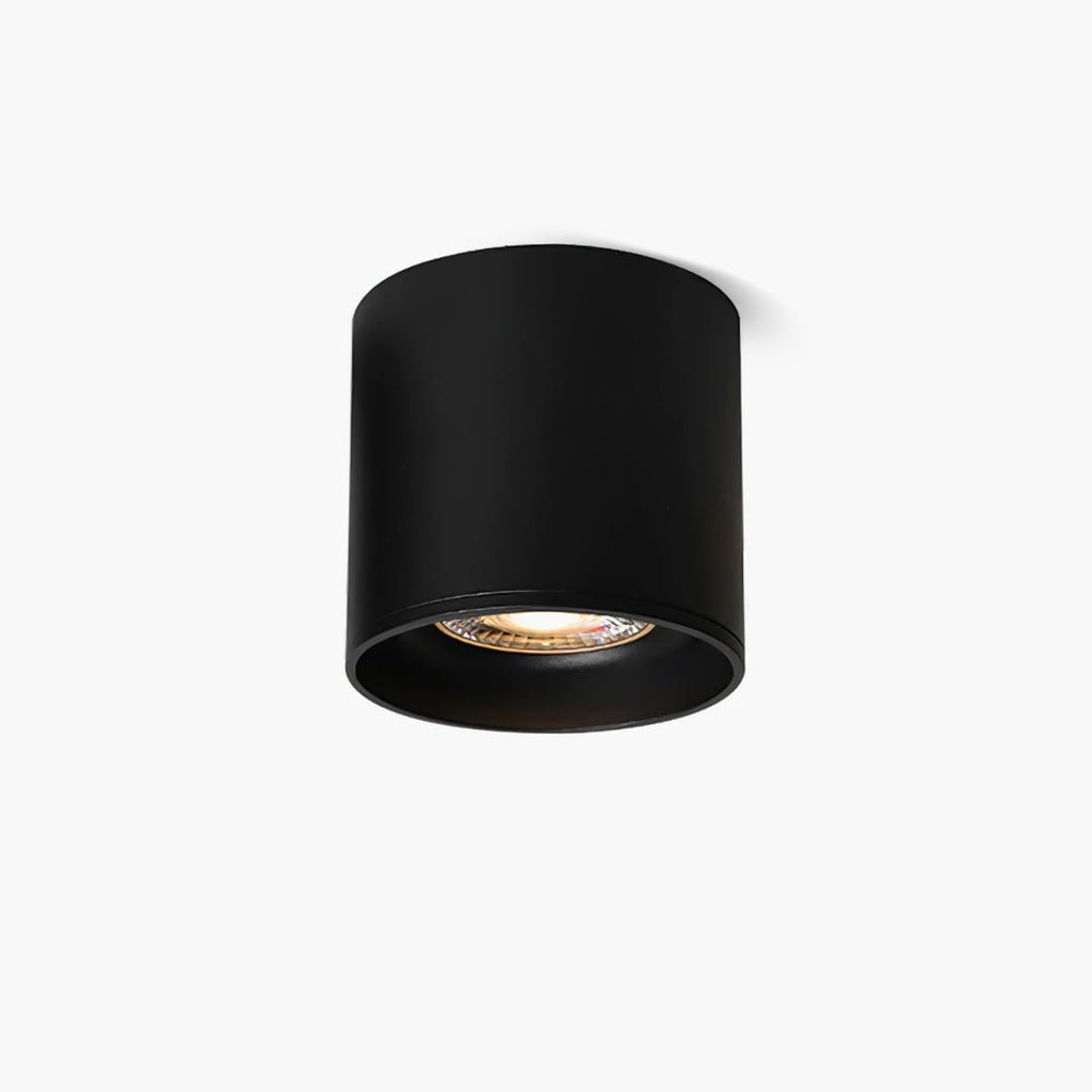 Modupoint Ceiling Fixture Lighting Lobby