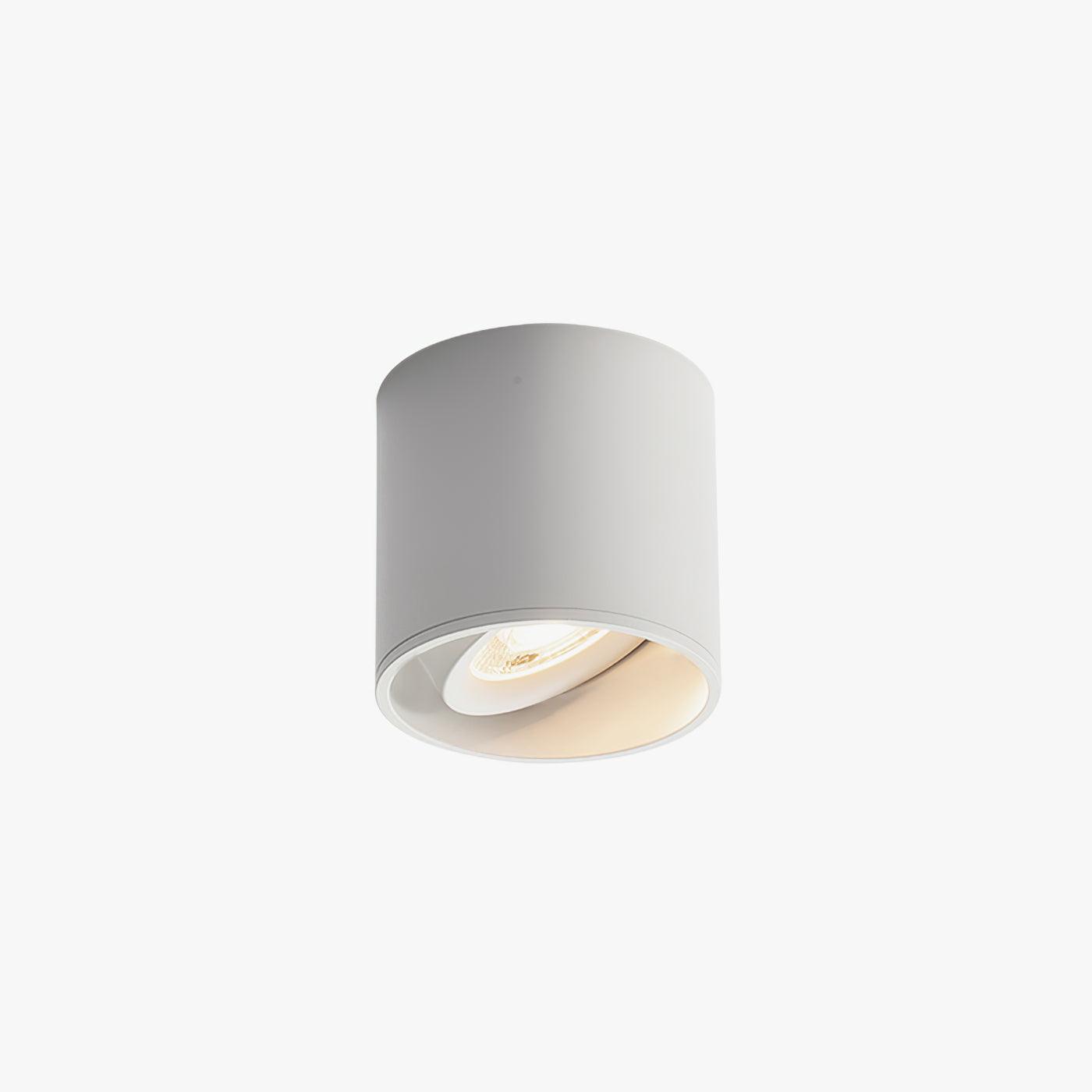 Modupoint Ceiling Fixture Lighting Lobby