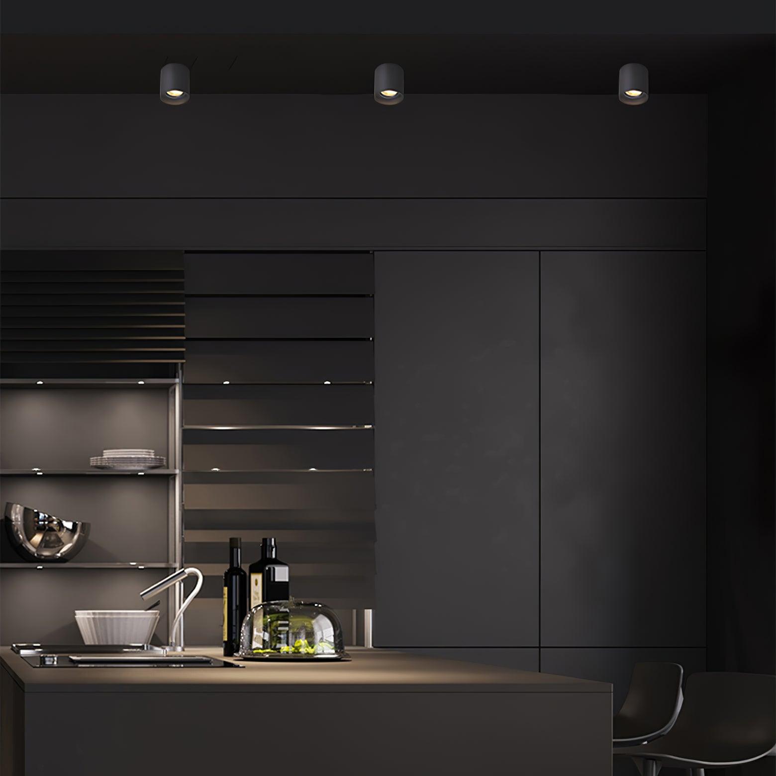 Modupoint Ceiling Fixture Lighting Lobby