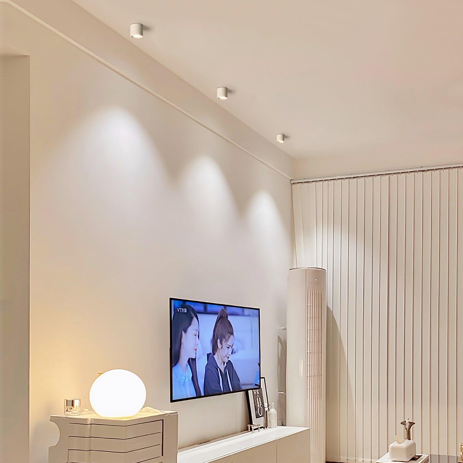 Modupoint Ceiling Fixture Lighting Lobby