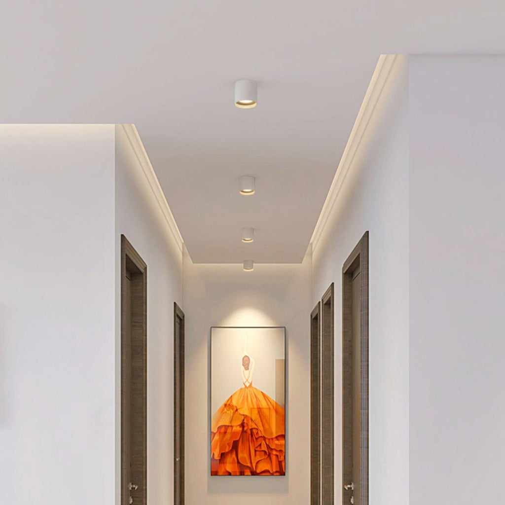 Modupoint Ceiling Fixture Lighting Lobby