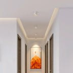 Modupoint Ceiling Fixture Lighting Lobby