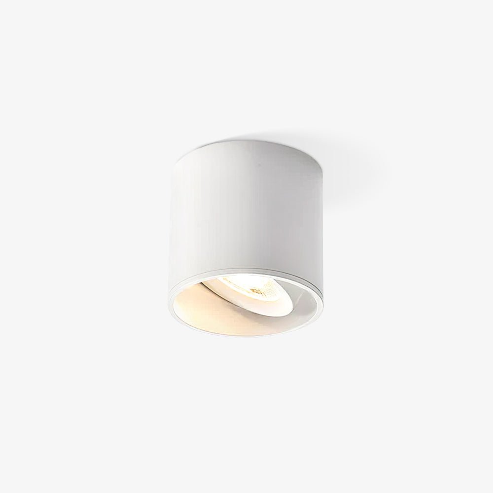 Modupoint Ceiling Fixture Lighting Lobby