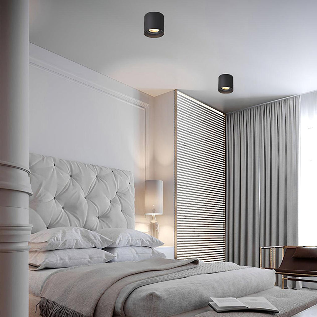 Modupoint Ceiling Fixture Lighting Lobby