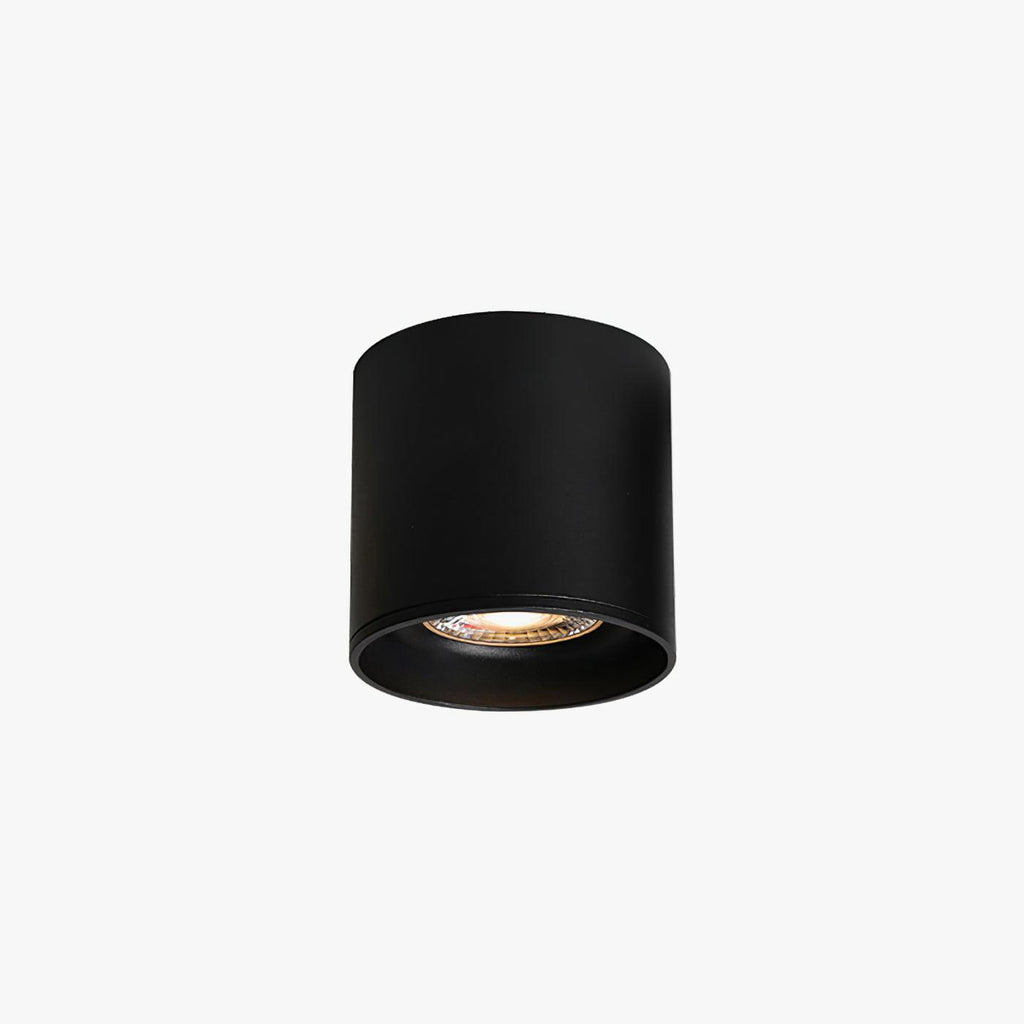 Modupoint Ceiling Fixture Lighting Lobby