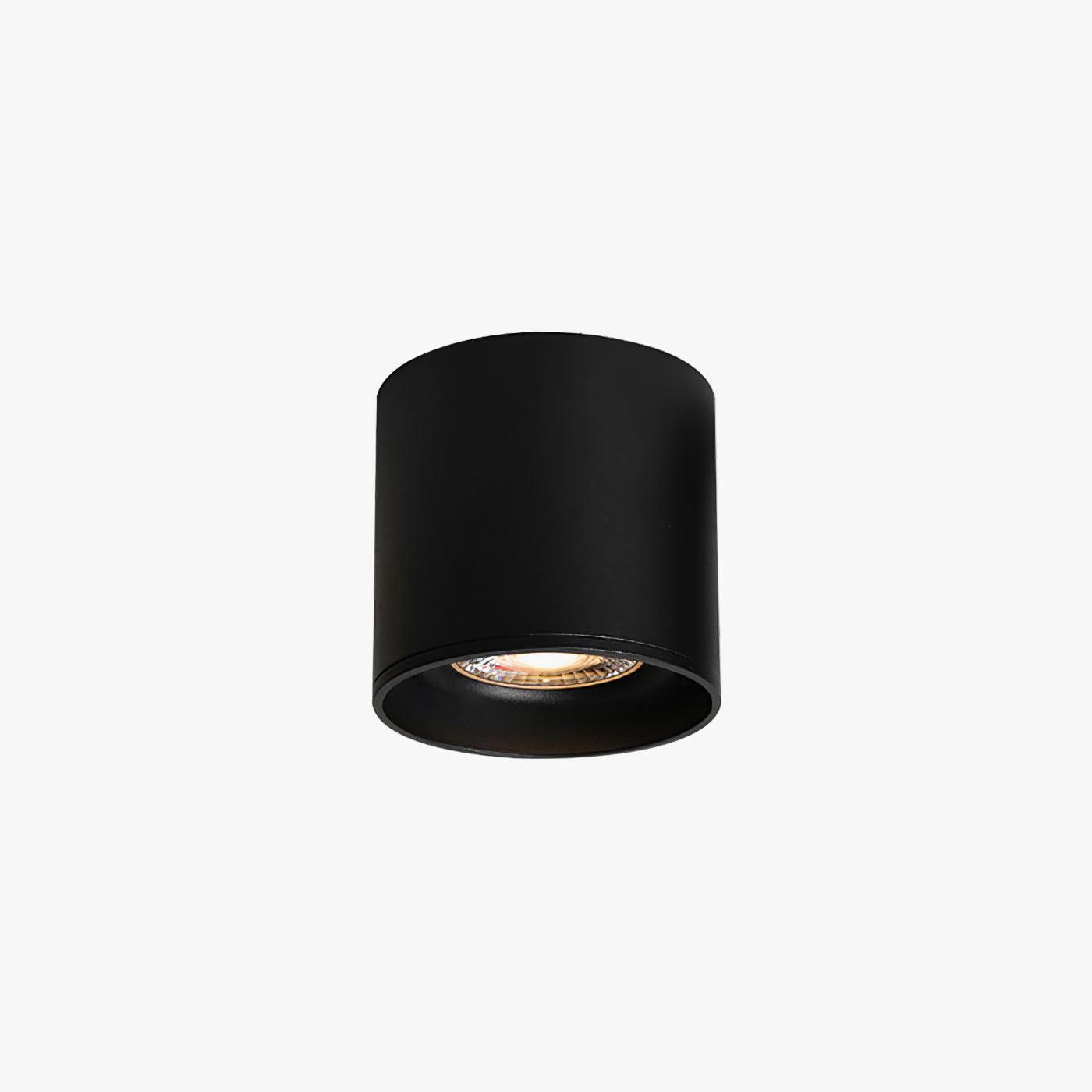 Modupoint Ceiling Fixture Lighting Lobby