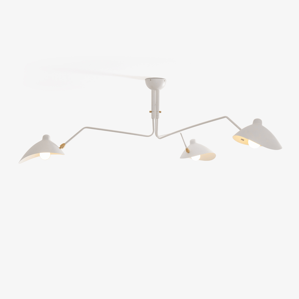 Multi-Arm Ceiling Lamp Lighting Lobby