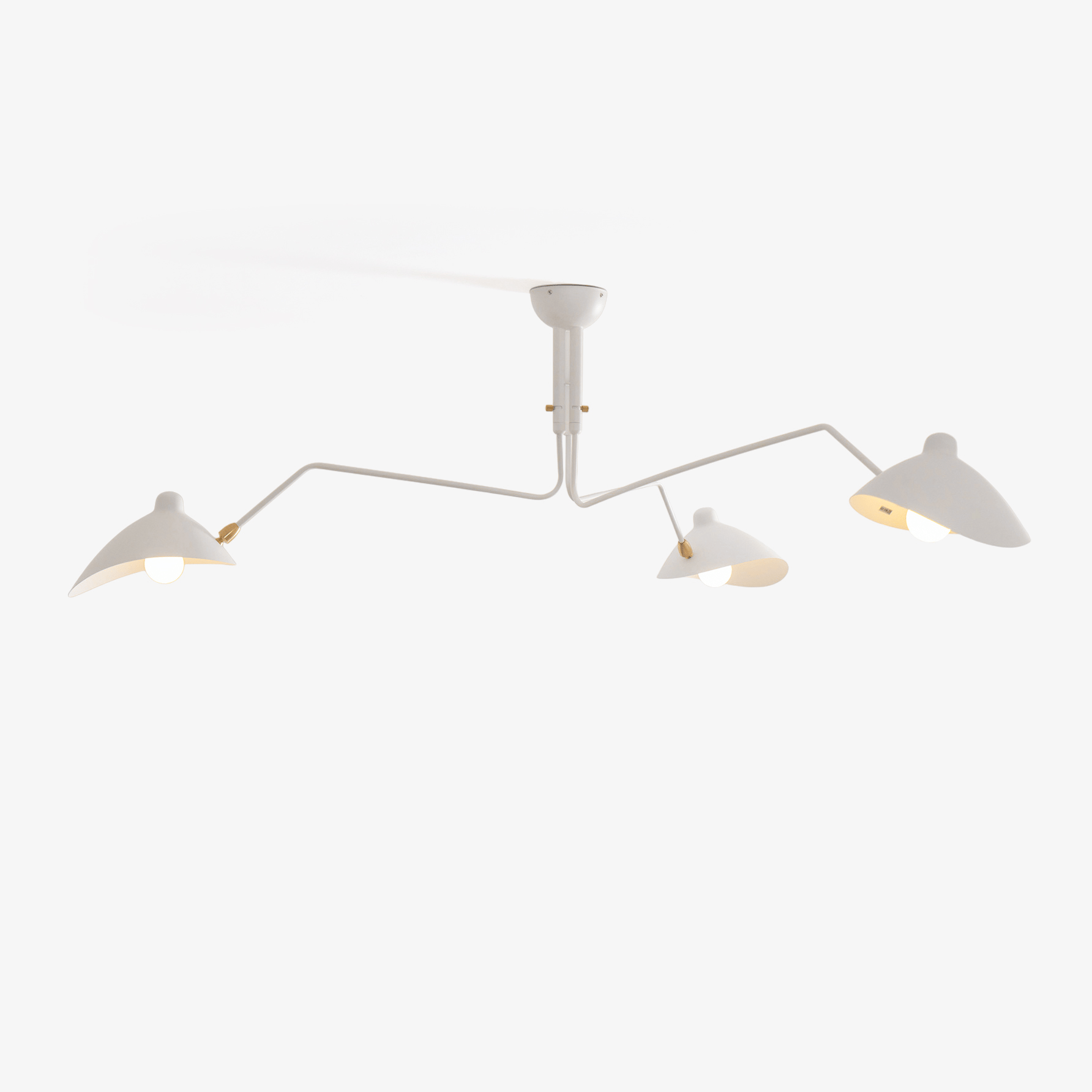 Multi-Arm Ceiling Lamp Lighting Lobby