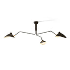 Multi-Arm Ceiling Lamp Lighting Lobby