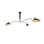 Multi-Arm Ceiling Lamp Lighting Lobby