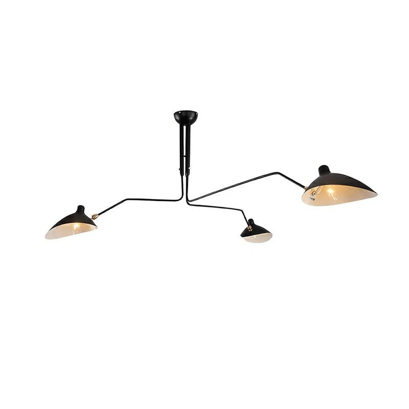 Multi-Arm Ceiling Lamp Lighting Lobby
