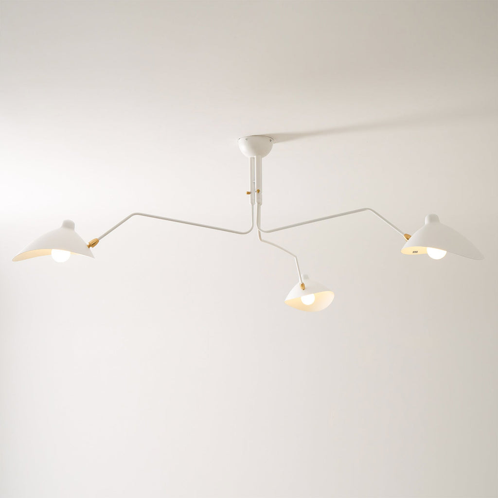 Multi-Arm Ceiling Lamp Lighting Lobby