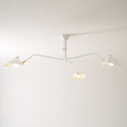 Multi-Arm Ceiling Lamp Lighting Lobby