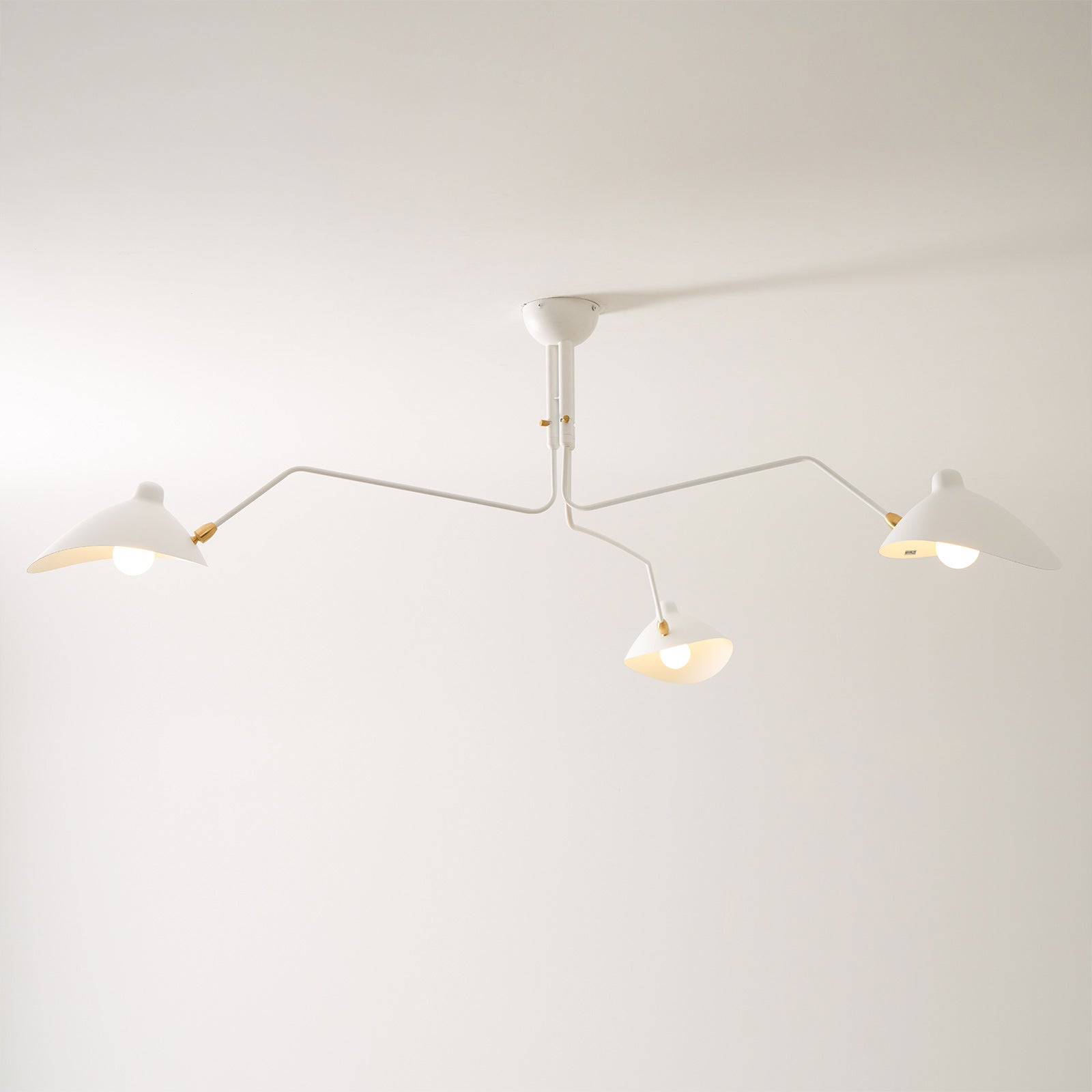Multi-Arm Ceiling Lamp Lighting Lobby