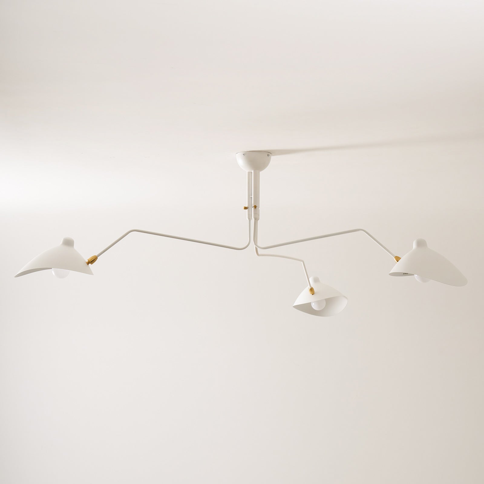 Multi-Arm Ceiling Lamp Lighting Lobby