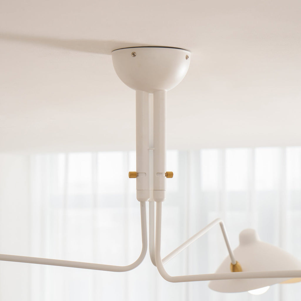 Multi-Arm Ceiling Lamp Lighting Lobby