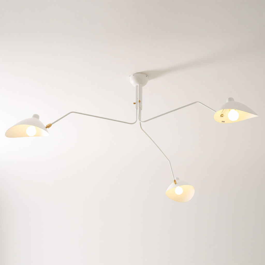 Multi-Arm Ceiling Lamp Lighting Lobby