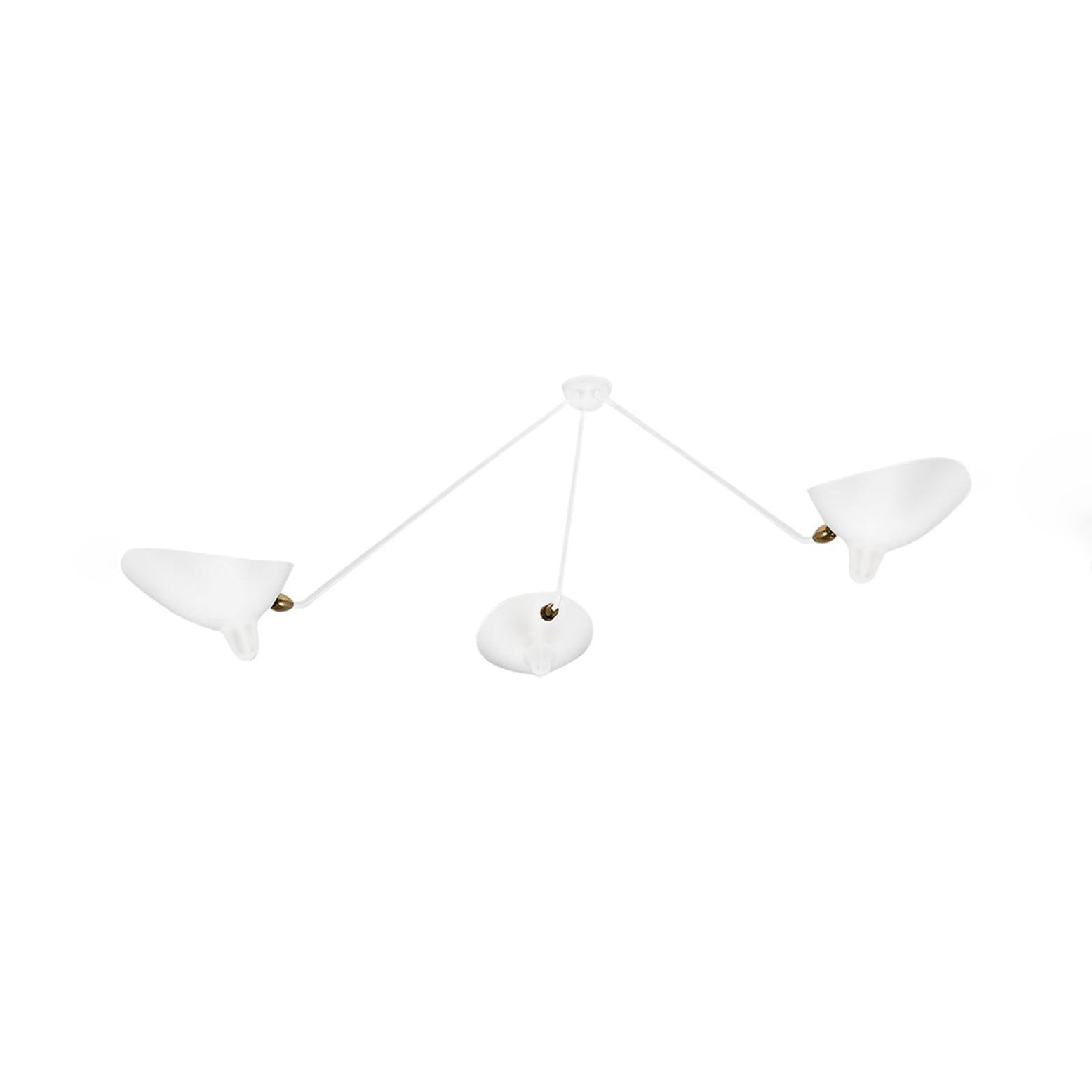 Multi-Arm Overhead Ceiling Light Lighting Lobby