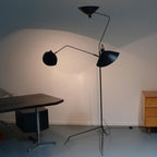 Multi-Arm Standing Light Lighting Lobby