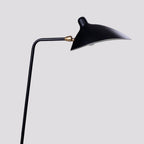 Multi-Arm Standing Light Lighting Lobby