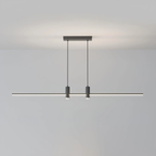 Pendant Ceiling Lamp Lighting Lobby