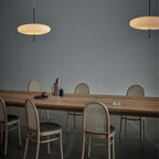 Pendant Light Model 2065 Lighting Lobby