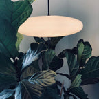 Pendant Light Model 2065 Lighting Lobby