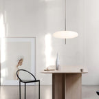 Pendant Light Model 2065 Lighting Lobby