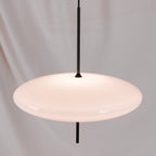 Pendant Light Model 2065 Lighting Lobby