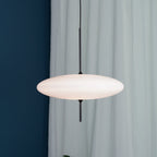 Pendant Light Model 2065 Lighting Lobby