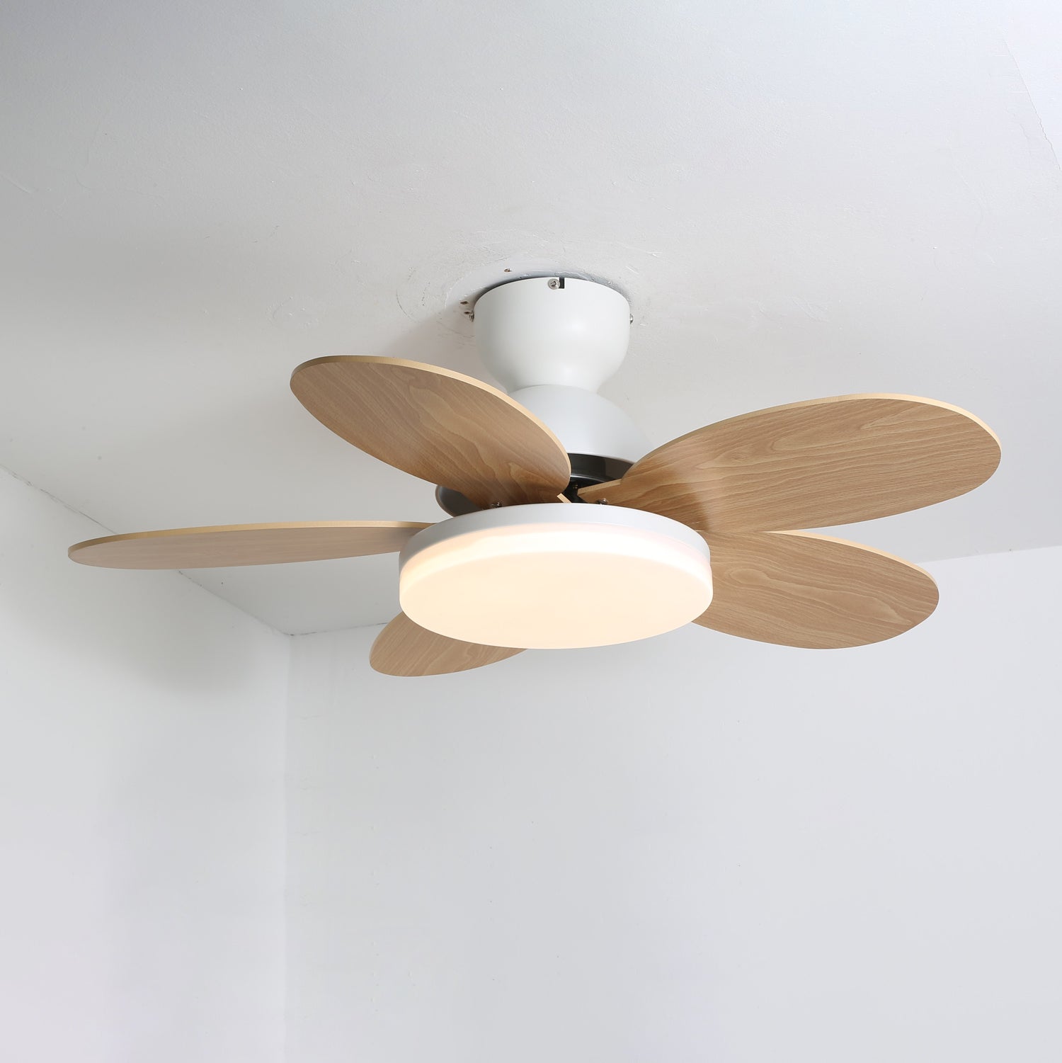 Petalo Ceiling Light Fan Lighting Lobby