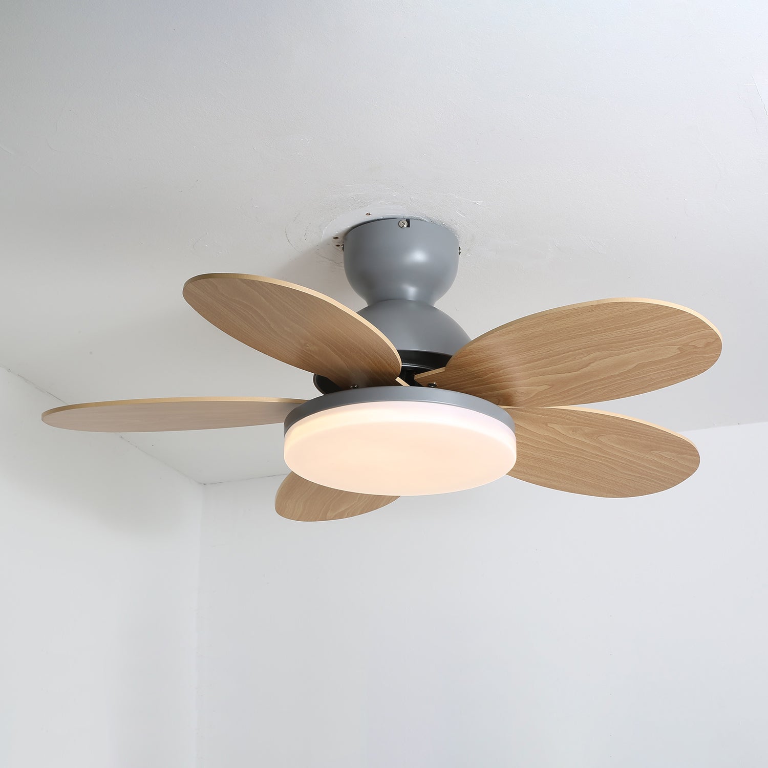Petalo Ceiling Light Fan Lighting Lobby