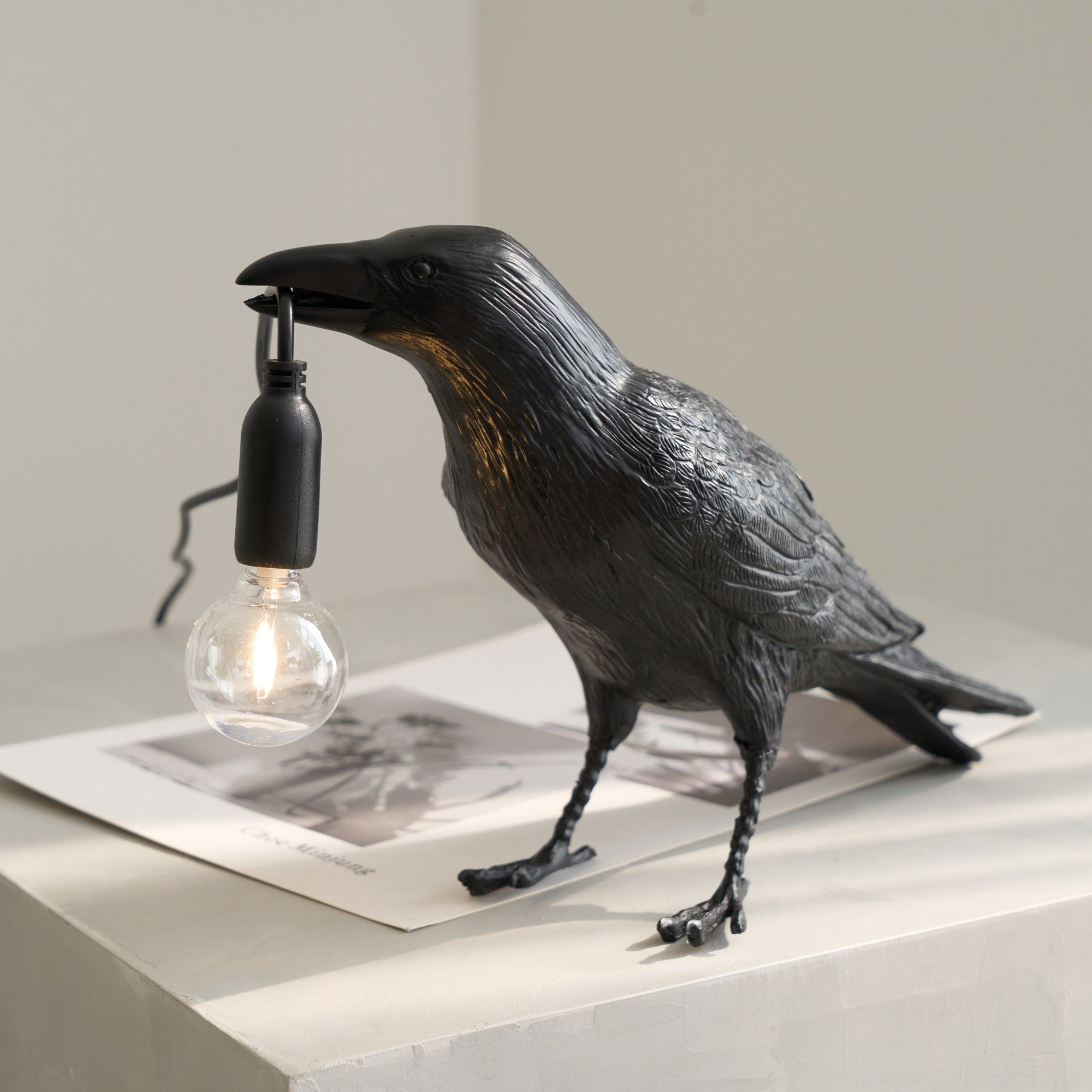 Raven Resin Lighting Fixture Lighting Lobby
