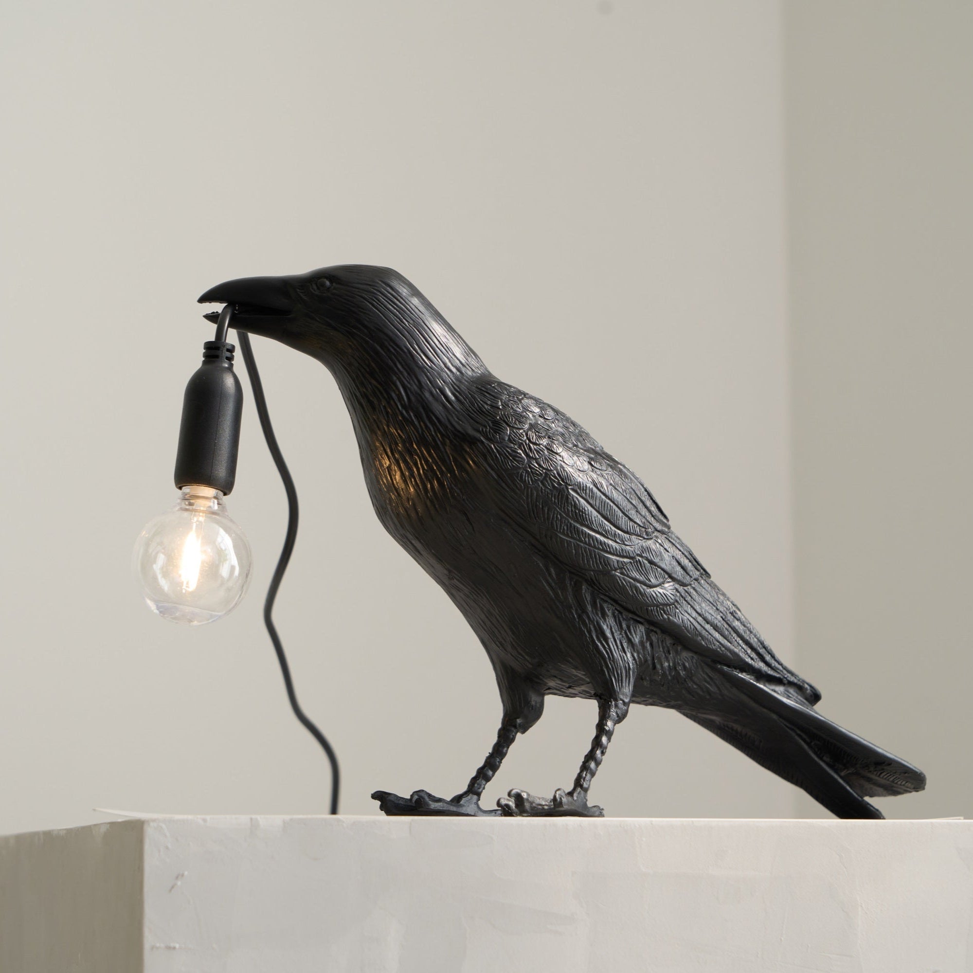 Raven Resin Lighting Fixture Lighting Lobby