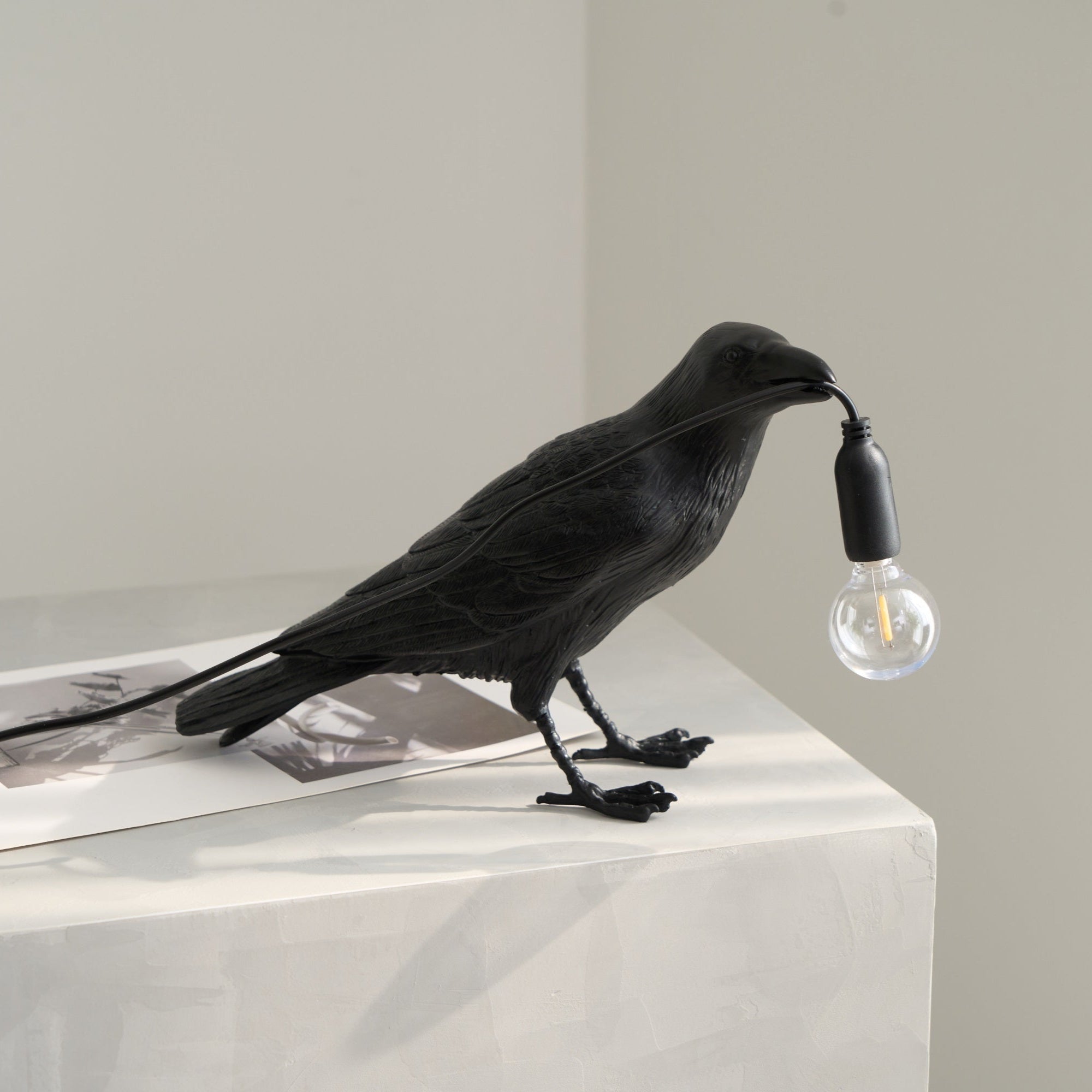 Raven Resin Lighting Fixture Lighting Lobby