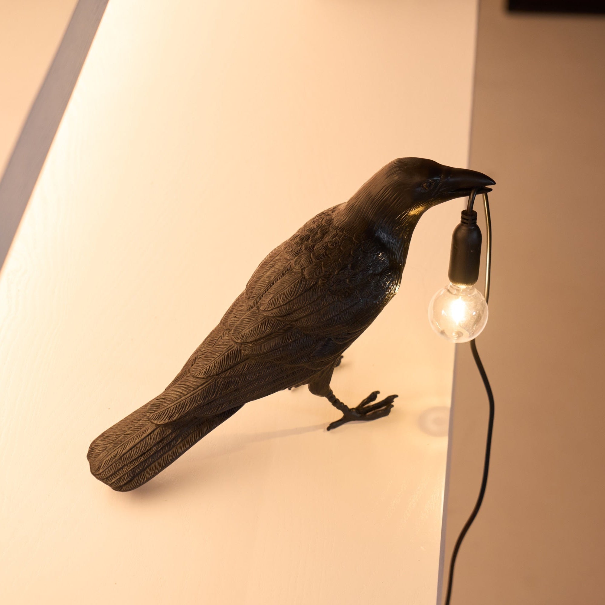 Raven Resin Lighting Fixture Lighting Lobby