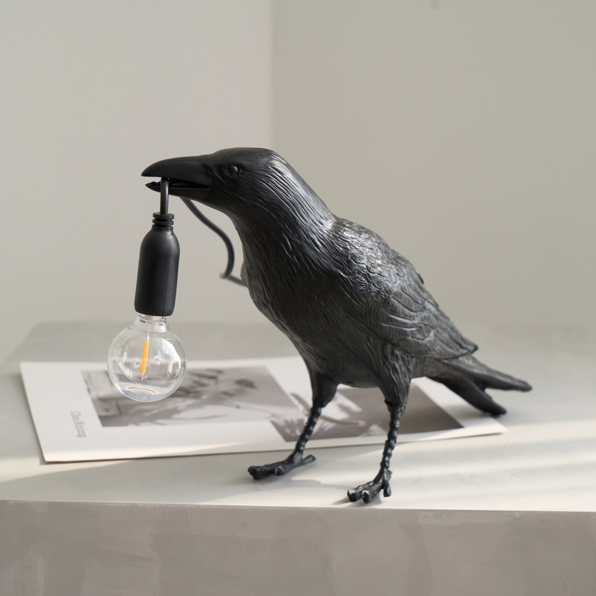 Raven Resin Lighting Fixture Lighting Lobby