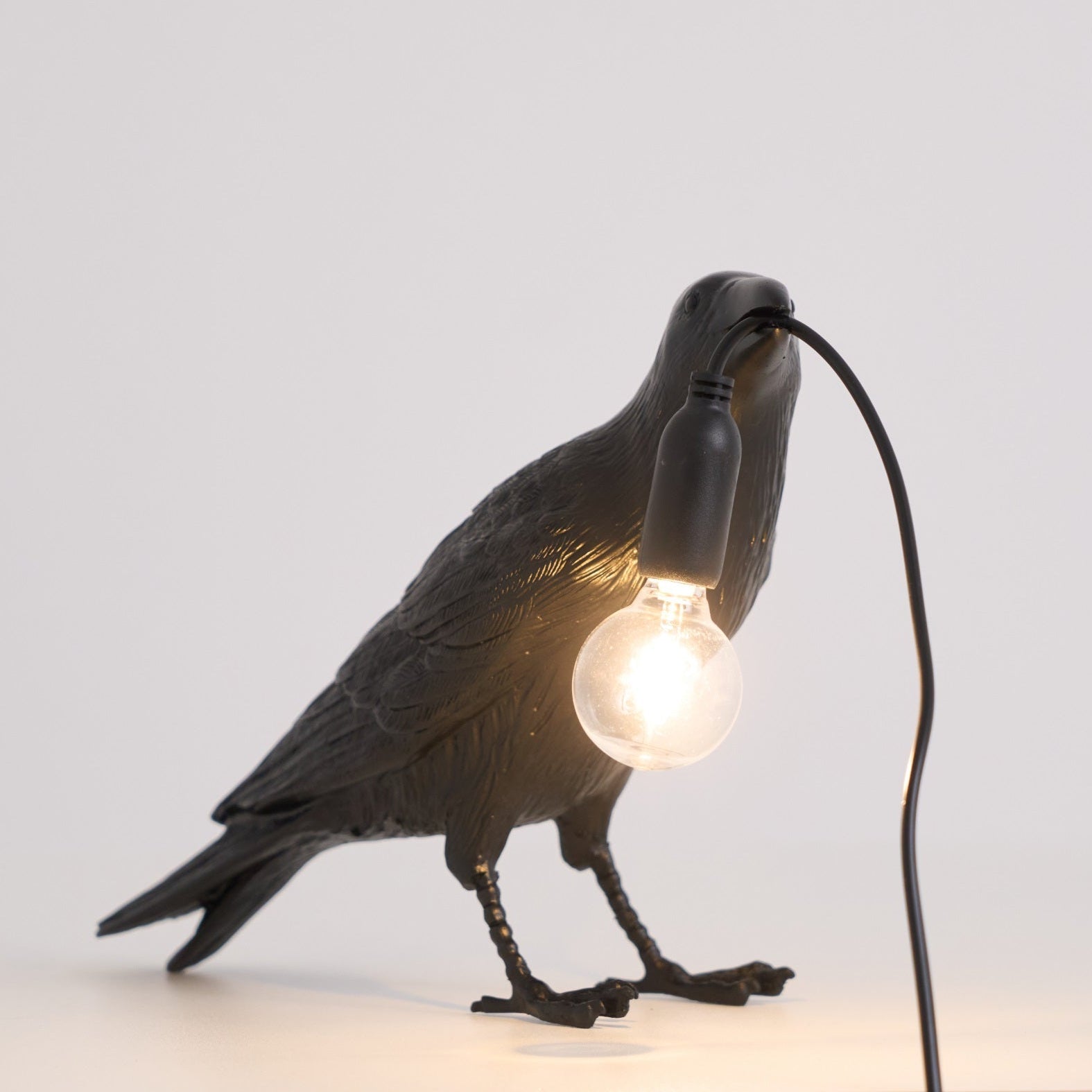 Raven Resin Lighting Fixture Lighting Lobby