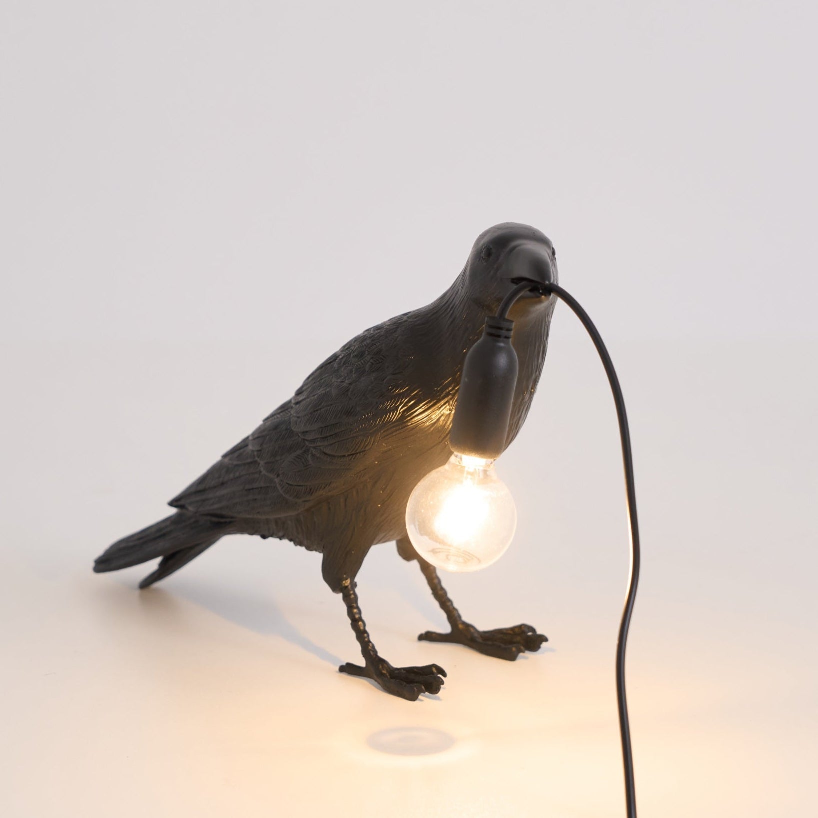 Raven Resin Lighting Fixture Lighting Lobby