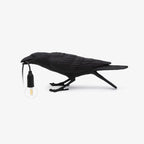 Raven Resin Lighting Fixture Lighting Lobby