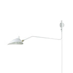 Adjustable Arm Wall Light